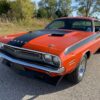 1971 Dodge Challenger